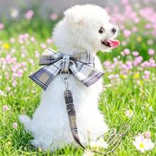 Pet Cute Bowknot Collar Dress With Harness, Leash, Cat Clothes, Dog Vest