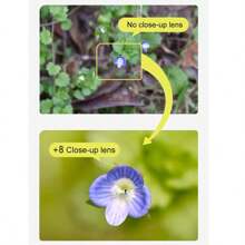 Nahlinse, professioneller Kameraeffekt-Filter, Vergrößerung +4, Makroaufnahmeeffekt, kann als Makroobjektiv-Vergrößerungsfilter zum Fotografieren von Blumen, Insekten, Diamanten, Schmuck usw. verwendet werden. Ein leistungsstarkes Werkzeug für Nahaufnahme-Fotografie, geeignet für DSLR-Kameras, Linsendiameter-Optionen: 40,5 mm/49 mm/52 mm/55 mm/62 mm/67 mm/72 mm/77 mm/82 mm