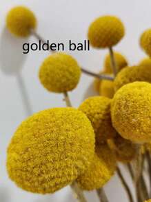 1/2/3pcs Creative Wall Vase Floral Holder Hanging Wall Decor Golden Flower Pot For Living Room Home Decor Room Decor Flower Vase Glass Vase