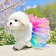 Lace Princess Dress Tutu Dress For Small Medium Dog Apparel Puppy Dog Skirts Pet Supplies Puppy Clothes Dog Dress