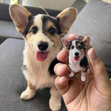 1 breloc personalizat din policarbonat (PC) cu portret de animal, câine/pisică, potrivit pentru toate anotimpurile, cadou excelent pentru Crăciun, Ziua Îndrăgostiților, Anul Nou Chinezesc, rechizite școlare, întoarcerea la școală, pentru birou, pentru școală, pentru clasă, pentru cadouri pentru profesori, pentru universitate, pentru colegi, pentru cămine, pentru profesori, pentru băieți și fete, pentru adolescenți, elevi de gimnaziu, elevi de gimnaziu, elevi de liceu, elevi de facultate, studenți, elevi de universitate, elevi în anul I, elevi în anul II, elevi în clasele I-II.