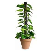 6X Moss Poles For Climbing Plants Support Stackable Plastic Plant Pole Sticks - Black - View 8