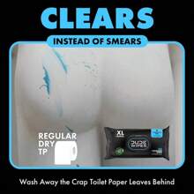 DUDE Wipes Unscented XL Flushable Wipes, 6 Flip-Top Packs Case, 48 Wipes Per Pack, 288  Aloe Vera - 1 - View 6