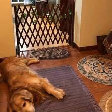 Puerta de madera retráctil para perros y gatos - Acabado en carbón resistente a la corrosión, barrera de seguridad interior de fácil instalación para el hogar, dormitorio, puerta y escaleras, puertas para perros para interiores