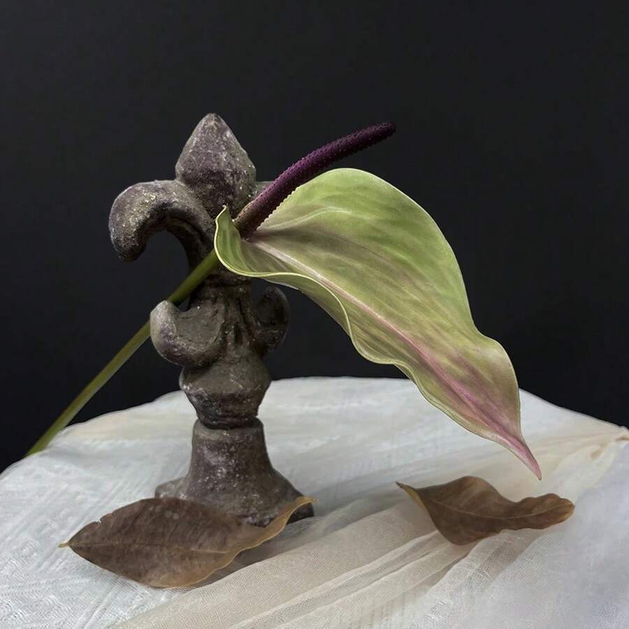 SunMade Vintage Anthurium Branch Real Touch Artificial Flowers Home Garden Dration Table Dration For Wedding Fall Dr