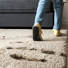 1 pieza Refrescador de alfombra, Rejuvenecedor de alfombra instantáneo, Cepillo para fregado de pie, Limpiador de alfombras y tapetes - Multicolor - Ver 8