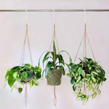 10 Pcs Fence Hooks Patio Hooks, Fence Hooks Hangers, Pergola Hooks Powder Coated Steel Rustproof Patio Fence Hangers For Hanging Plants, Planters, Bird Feeders, Lights, Indoor & Outdoor(White Or Black) - White - View 7