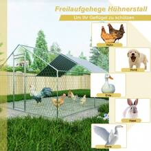 Farm Animal Coop