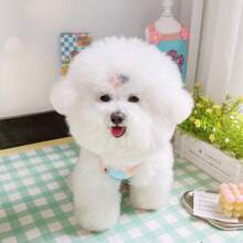 Spring And Autumn Cute Style Pet Cat Dog Clothes Teddy Bear VIP Tank Top Dopamine Strap - Blue - View 4