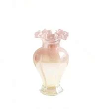 Vase en Verre d'Influence Classique - Décoration Élégante pour Table et Culture en Eau - Bouteille White Beauty - Voir 6