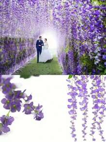 10pcs/Pack Artificial Wisteria Flower Strips Wedding Home Decoration Balcony Hanging Plastic Ceiling Flower Vine Flower String Gifts Birthday Graduation