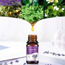 Kit de Aromaterapia de 6 en 1 con Aceites Esenciales - Mezclas para Difusor para el Hogar, Oficina y Meditación - 100% Natural - Negro - Ver 2