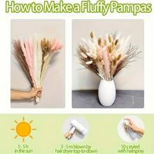 50/80 peças Buquê de Capim-Pampa Boêmio - Rabo de Coelho Rosa e Mistura de Junco, Flores Artificiais, Ornamentos Pendurados de Vime para Casamento, Decoração Doméstica e Jardim, Sem Penas, Uso Universal, Decoração de Outono - multicolorido - Visão 6