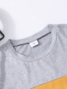 2pcs Kids Boys' Casual Cute Color Block Round Neck Short Sleeve T-Shirt & Solid Color Shorts Set, Spring/Summer - Multicolor - View 3