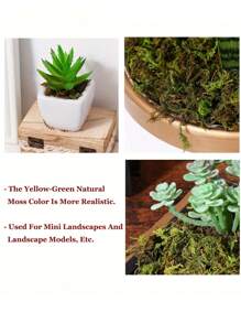 100g Artificial Moss, DIY Realistic Moss Micro Landscape Layout, Lifelike Green Plant Set, Green Grass Lawn Potted Plant Decor For Window Sill, Valentine's Day Gift, Graduation Gift - Multicolor - View 10