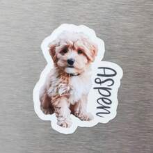 1/3/5PCS Custom Die Cut Fridge Magnet, Die Cut Pet Magnets, Personalized Family Photo Magnets,Dog Cat Lover Gifts, Occasional Custom Printing Gift,Decoration For Home, Office, School, Car, Decoration Magnet Gift, Halloween, Thanksgiving, Christmas, Birthday, Anniversary Commemorative Gift Stylish,Adorable,Colorful Custom,Personalized,Unique Ideal Gifts For Her Friends,Son,Daughter,School Students,Workers,Kids School,Home,Office