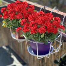 4pcs Realistic Artificial Geraniums Flowers For Outdoors, Full Blooms Silk Flower Plants, Red Geranium Bushes For Wedding Garden, Indoor, Porch, Patio, Window Box And Hanging Planter, Outdoor Decor, Seasonal Display, Kitchen Table Centerpieces Decor, Artificial Outdoor Flowers Gifts Birthday Graduation