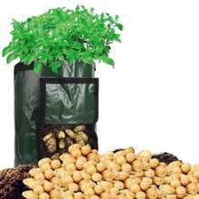 1 Pack 10 Gallon (Approx. 37.8L) Potato Growing Bag With Flip-Open Window, Vegetable Planter Bag With Drainage Holes, Potato, Carrot, Onion, Tomato Grow Bags, Green - Multicolor - View 6