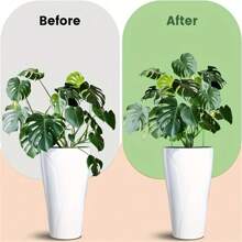 8/10 Pack Plant Support Stakes, Half Round Metal Garden Plant Stake Indoor Peony Cages And Supports, Green Plant Support Ring Border For Tomato,Hydrangea,Flower Outdoor