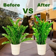 8/10 Pack Plant Support Stakes, Half Round Metal Garden Plant Stake Indoor Peony Cages And Supports, Green Plant Support Ring Border For Tomato,Hydrangea,Flower Outdoor
