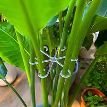 4pcs/Pack Plant Anti-Toppling Support Pole Green Plant Fixator Flower Hydroponic Folding Fixed Support