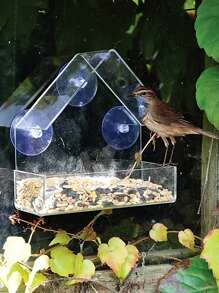 1pc Acrylic Outdoor Birdfeeder With Suction Cups, Wall Mounted No Drilling Required - Multicolor - View 3