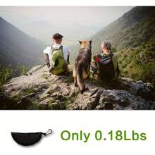 1 件可折叠狗碗，适合旅行，可折叠，便携且轻便，适合盛放食物和水（橙色）防溢出和防滑 - 适合露营/旅行