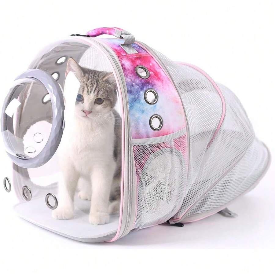 Pet Outdoor Gear Sets