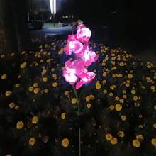 Luces solares para jardín a prueba agua, luces estaca para jardín,  a prueba de agua y duraderas, fáciles de instalar, adecuadas para senderos de jardín, aceras, césped, decoración de patios - SDD1328-Rosa - Ver 3