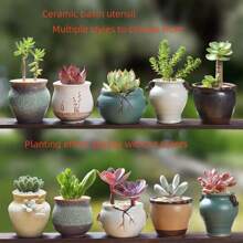 Succulent Plant Pots Ceramic Gardening Miniature Creative Retro Rough Ceramic New Home Decor Vase
