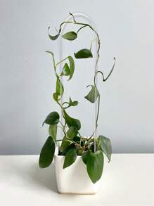 Pack Of 2 U Shape Climbing Plants Acrylic Trellis Easy Installation Vine Plants Trellis For Indoor And Outdoor Plants - White - View 2