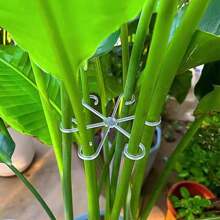 4pcs/Pack Plant Anti-Toppling Support Pole Green Plant Fixator Flower Hydroponic Folding Fixed Support