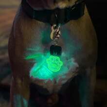 1PC Light Up Dog Paw Tag - Color Changing - Stocking Stuffer - LED Bone Tag - Acrylic Name Tag