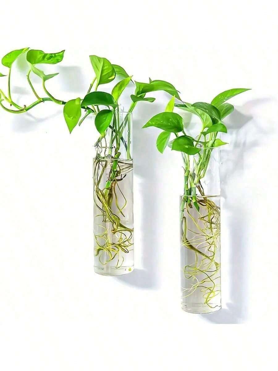 6pcs (With Hooks) Wall Hanging Glass Plant Terrariums, Cylindrical Shape - For Propagating Hydroponics Plants, Home Office Garden Wedding Decor, Suitable For Daily Use & Easter