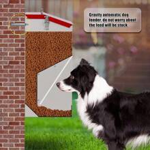 Galvanized Automatic Dog Feeder Large Breed Dog Food Dispenser For Large Dogs, 25lbs Outdoor Pets Feeder Gravity Food Feeder - 1 - View 1