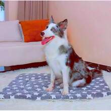 1pc Thick Soft & Comfortable Pet Mat, Especially Suitable For Cats And Dogs To Sleep On - Multicolor - View 10