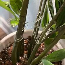 4pcs/Pack Plant Anti-Toppling Support Pole Green Plant Fixator Flower Hydroponic Folding Fixed Support