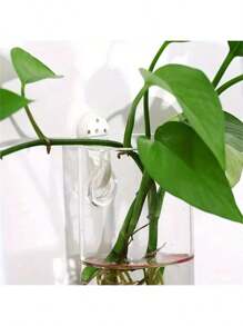 6pcs (With Hooks) Wall Hanging Glass Plant Terrariums, Cylindrical Shape - For Propagating Hydroponics Plants, Home Office Garden Wedding Decor, Suitable For Daily Use & Easter