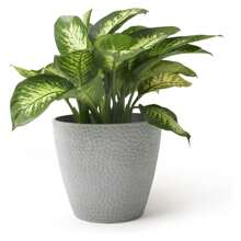 Outdoor Indoor Tree Planters - 14 Inch Large Flower Pots Containers In Storm Gray With Honeycomb Design