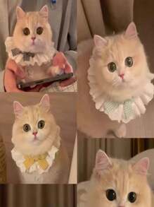 1pc Cat Scarf Bow Tie Collar, Pet Knitted Bib Drool Towel Decorative Accessory