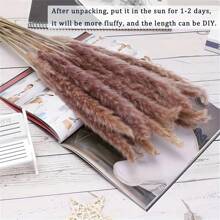 100/200/300/400pcs Pampas Grass Bundle - Dried Rattan Reeds For Boho Home Decor, Wedding Centerpieces, Christmas Party Supplies - 米色 - 查看 8