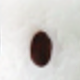 彩色