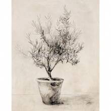 1 Stück antike Olivenbaum-Vase, botanische Vintage-Poster Leinwand Wandkunst für Wohnzimmer Heimdekoration ohne Rahmen - Verschiedenfarbig - Übersicht 35