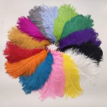 5pcs Artificial Ostrich Feather 20-25cm For Jewelry Making DIY Wedding Home Decoration Artificial Feather Table Centerpiece Crafts Clothes Accessories Cake Decoration - Multicolor - View 3