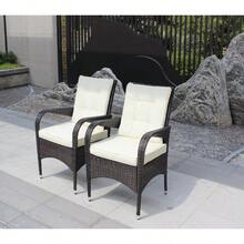 2-Piece Liberatore Dining Chairs With Cushions Beige Cushion - Nâu như hình - Xem 8