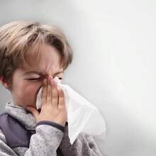 Fresh Scent 24 Hour  Sanitizing Spray - 15 Fl Oz