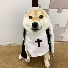 1 pieza Disfraz de monja para mascotas como decoración para fiestas, disfraz gracioso apto para fotografías, disfraz lindo para gatos o perros pequeños y medianos