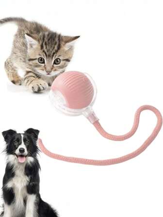 1 pezzo Gioco interattivo palla intelligente, regalo per amanti dei cani e mamme di cani, regalo per amanti dei gatti e mamme di gatti, palle di intrattenimento automatiche a 360° che rotolano da sole, accessori per amanti di cani e gatti e mamme di cani e gatti con corde e palle per saltare