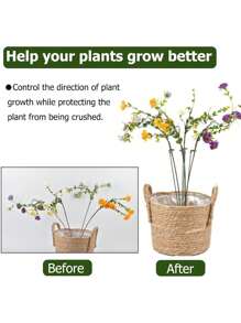 5件/10件迷你植物桩绿植固定支架适用于小盆栽专用花架支撑架花盆花卉固定防倾倒叶架 - 綠色 - 查看 6