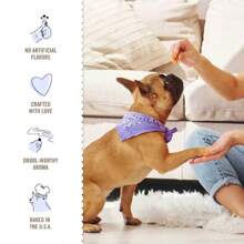 Dog Akery Caro Chip Cookies Dog Treat -13oz 314867